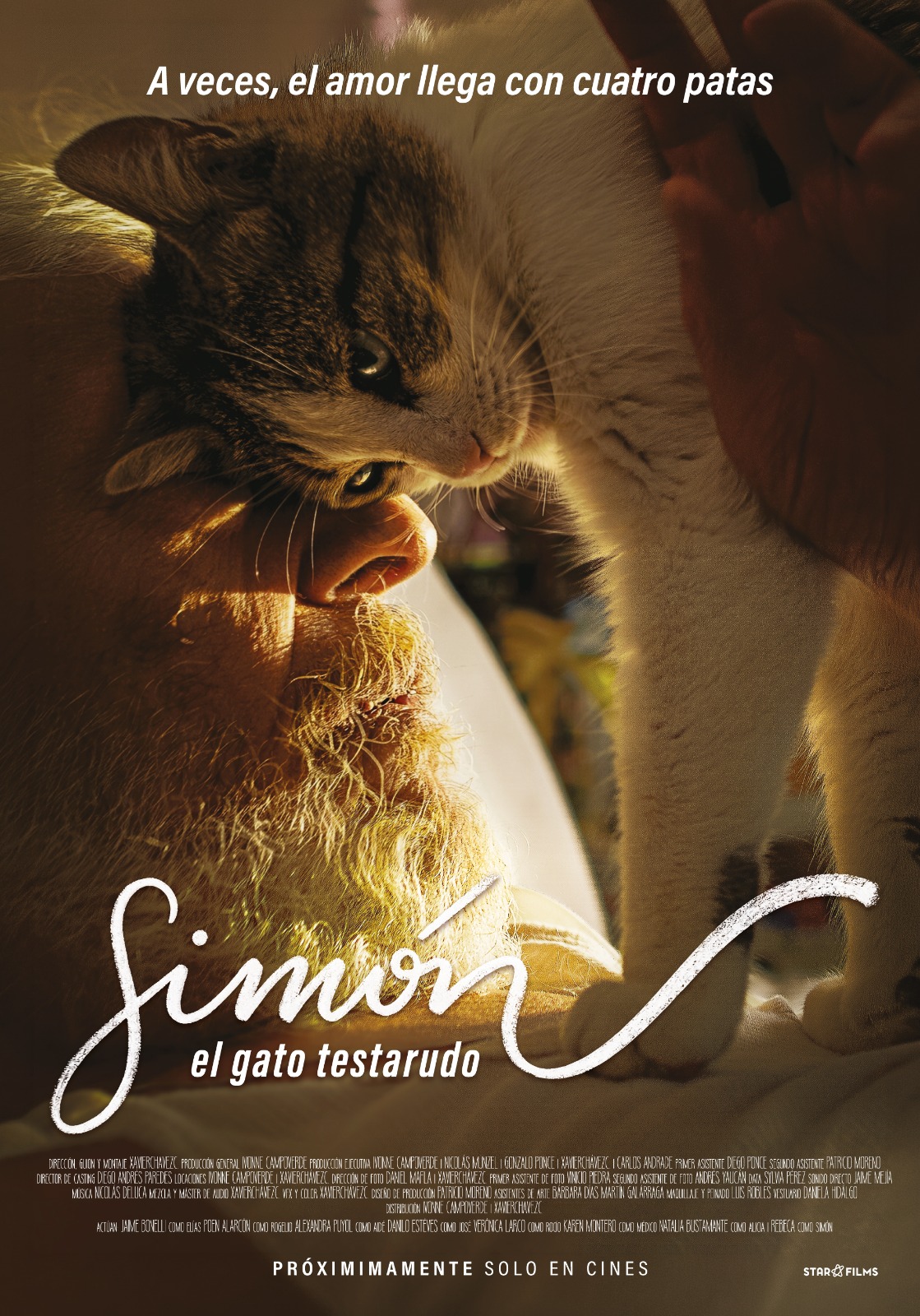 Afiche de Simón: El Gato Testarudo